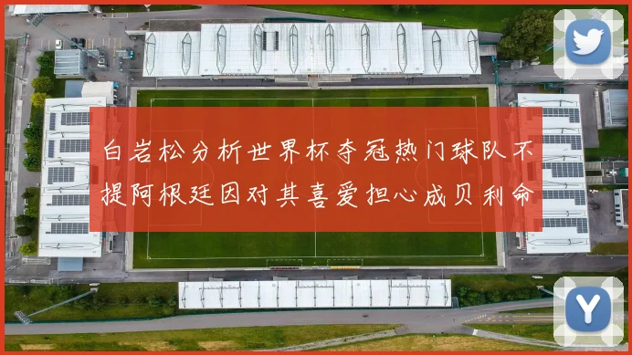 白岩松分析世界杯夺冠热门球队不提阿根廷因对其喜爱担心成贝利命运