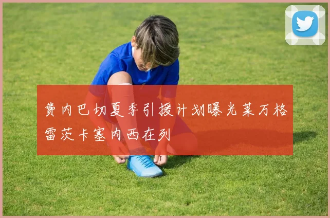 费内巴切夏季引援计划曝光莱万格雷茨卡塞内西在列