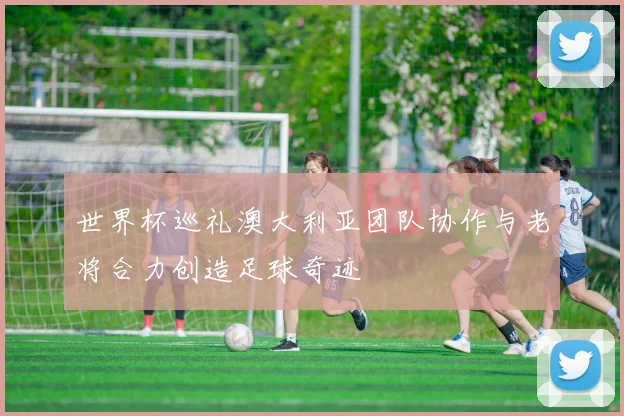 世界杯巡礼澳大利亚团队协作与老将合力创造足球奇迹