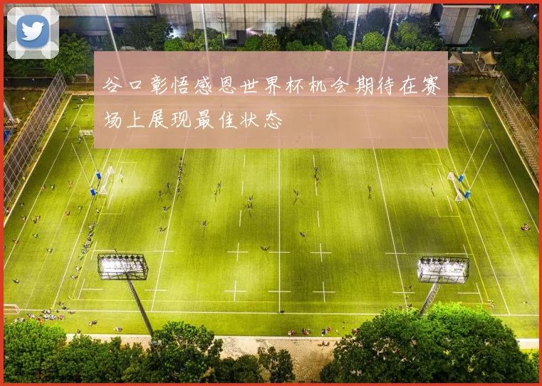 谷口彰悟感恩世界杯机会期待在赛场上展现最佳状态